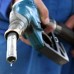 El biodiesel no impactó en los precios locales