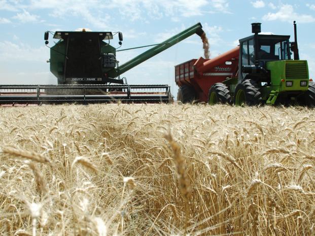 Corrigen a la baja metas para el agro