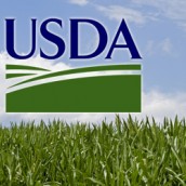 El USDA tiró los precios agrícolas a un abismo