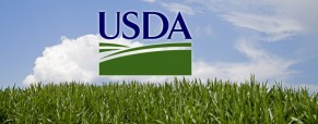 El USDA tiró los precios agrícolas a un abismo