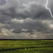 En EE.UU. manda el clima, en Argentina los problemas