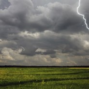 El USDA y el clima en EE.UU. ayudan a los precios