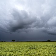 El clima es un factor para seguir en el mercado