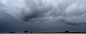 El clima es un factor para seguir en el mercado