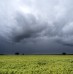 El clima es un factor para seguir en el mercado