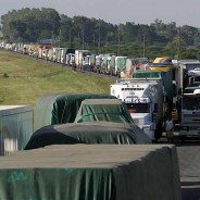 Cerca de 90.000 camiones transportan granos mientras cae el uso del ferrocarril