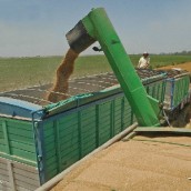 Dejen trabajar al campo argentino