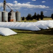 Agricultores de Estados Unidos apuestan al silo bolsa para guardar la nueva cosecha