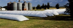 Agricultores de Estados Unidos apuestan al silo bolsa para guardar la nueva cosecha