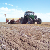 Por la baja de precios, la campaña agrícola deja quebrantos en campos alquilados