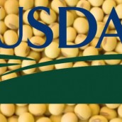 Sorpresa en datos del USDA presiona más a la soja