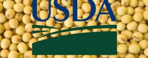 Sorpresa en datos del USDA presiona más a la soja