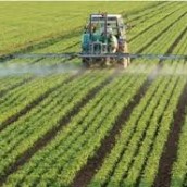 Impulsan un proyecto de ley para que se apliquen más fertilizantes en el campo