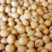 Menos soja comercializada en Argentina