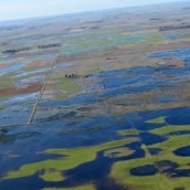 El drama de las inundaciones volvió a golpear con fuerza al sur de Santa Fe