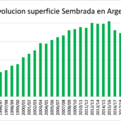 La siembra 22/23 de soja en Argentina será mayor