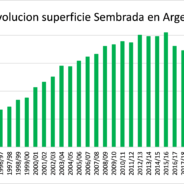 La siembra 22/23 de soja en Argentina será mayor